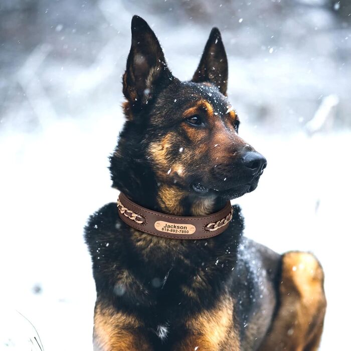 Didog нашийник для собак із натуральної шкіри, плетений, персоналізований із гравірованою металевою біркою, регульований, для середніх і великих собак, чорний, розмір L (17-20 дюймів), ширина 3,2 см