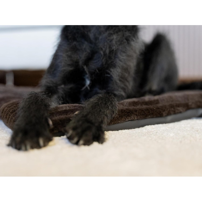 М'яка підстилка Harmony Flex для собак та котів, 50x35 см, з водонепроникним дном