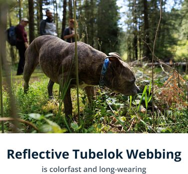 Нашийник для собак RUFFWEAR Crag, середній, з алюмінієвим кільцем V-Ring, регульований, 36-51 см, колір Midnight Wave