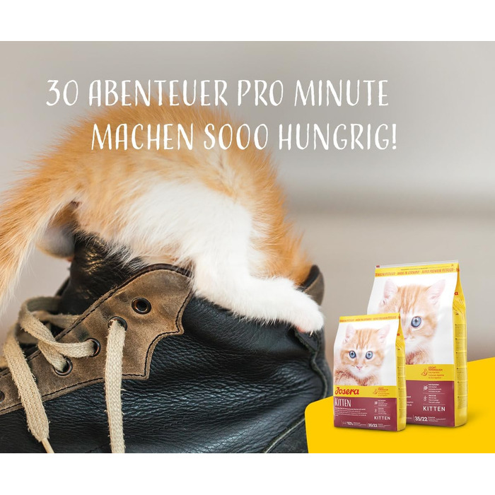 Сухий корм для кошенят JOSERA Kitten з лососем та птицею, 10 кг