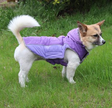 Флісовий теплий пуловер з капюшоном для собак, тепла куртка для цуценят на зиму, зелений, розмір S