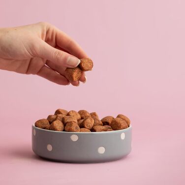 Миска для собак Mason Cash, колір у вибірці, 20 см, кремового кольору