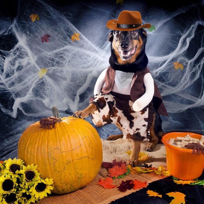 Костюм ковбоя для собак та котів Yewong, 2 шт. (капелюх + бандана)