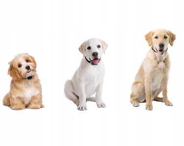 GPS-локатор для собак та котів, нашийник із SIM-картою