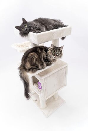 Когтеточка для котів Petrebels Cleopatra 134 см, преміум, XL лежанка, котяча будка, стовпи Ø9 см, бежевий/кремовий
