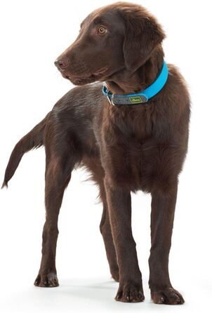 Нашийник для собак HUNTER CONVENIENCE COMFORT, тюркіс, 55 M-L: неопренове покриття, водостійкий, зручний для спорту та відпочинку