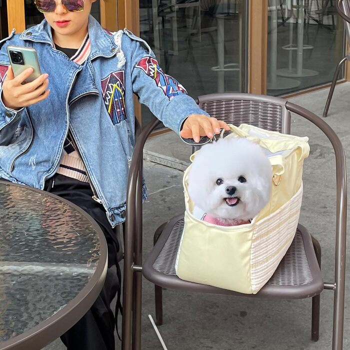 Сумка-переноска для собак та котів, велика, Beige 2, L (41x18x30 см)