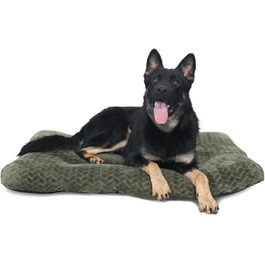 колір: оливгра