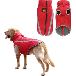 колір: гниль