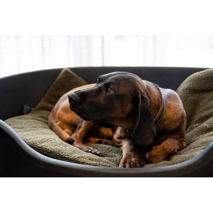 М'яка підстилка для собак та котів EUROHUNT, 70x100 см, неслизька, ізолююча, придатна для прання при 30°C