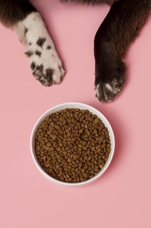 Керамічна миска Waggo для собак, велика, біла, з нековзкою гумовою основою, важка, підходить для малих і великих порід, можна мити в посудомийці
