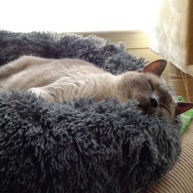 Кругле ліжко для собак Loir Fluffy, 120 см, сіре. М'яке плюшеве ліжко-доннат для великих і екстра-великих собак, для глибокого сну, легко миється