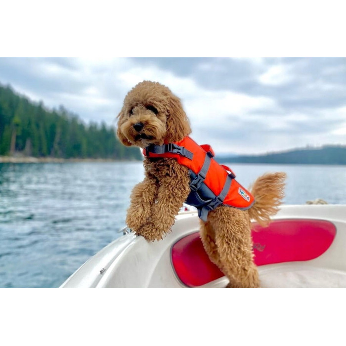 Жилет Outward Hound, помаранчевий, розмір M
