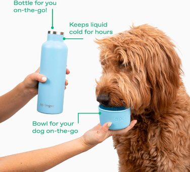 Термобутилка Springer Dog and Me 680,4 г з нержавіючої сталі для води, ізольована, тримає холод до 12 годин, портативна пляшка для води з інтегрованою поїлкою для собак, небесно-блакитна