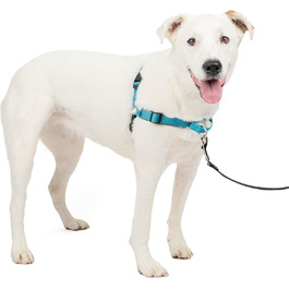Шлейка для собак PetSafe Easy Walk Deluxe, міцна, з м'якою підкладкою, чорно-синя (M/L, 1 шт.)