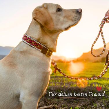 Нашийник для собак Ben&Bruno: широкий, регульований, ручної роботи, міцний, надійний, довговічний, з паракорду, для маленьких, середніх та великих собак, XL, багатокольоровий