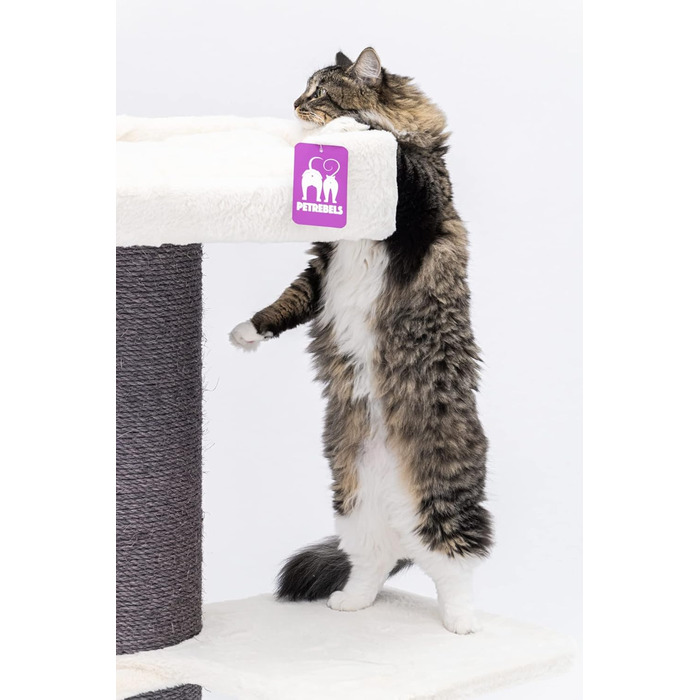 Дряпак для великих котів Petrebels Maine Coon 117 см, преміум-якість, стовпи 20 см, білий
