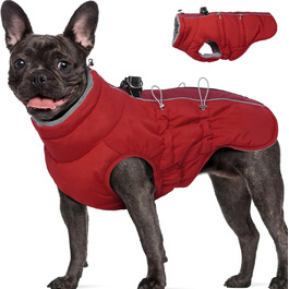 колір: гниль