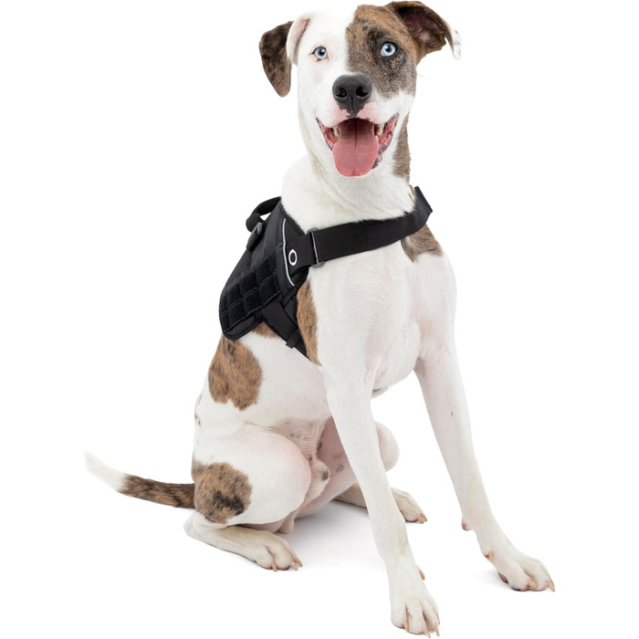 Шлейка для собак Kurgo RSG, навчальна жилетка з ручкою, світловідбиваюча, сумісна з MOLLE, розмір XL (Townie, чорний, середні породи)