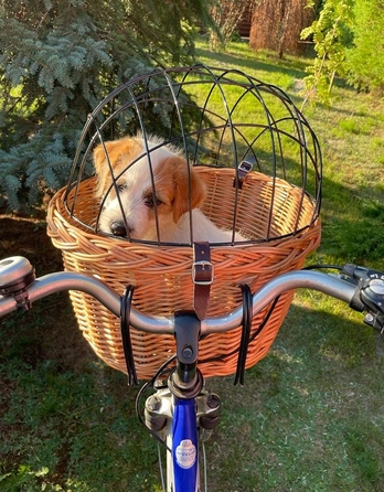 Плетений кошик для велосипеда, коричневий, розмір L