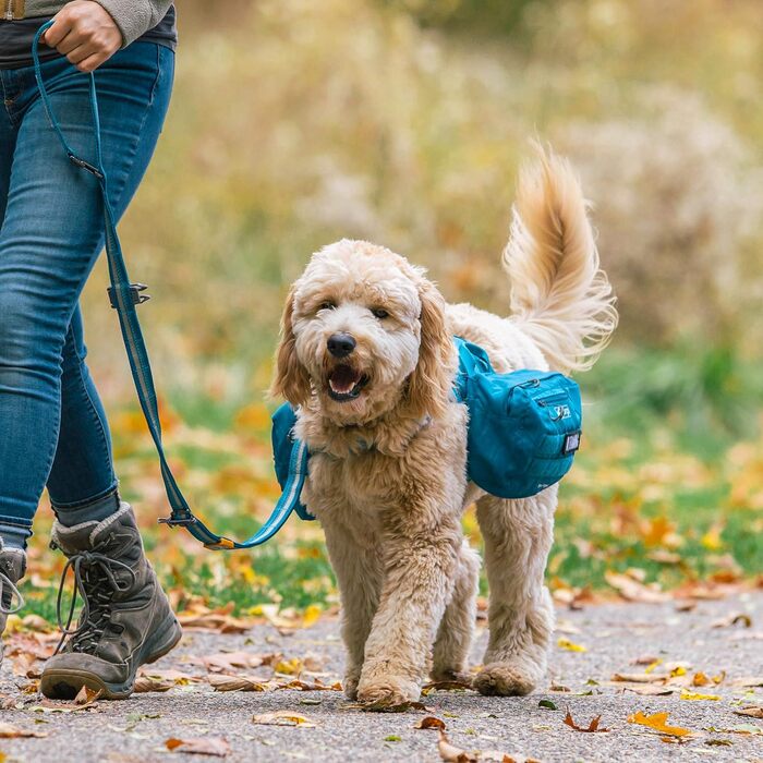 Фляга для собак Kurgo RSG, знімний чохол, сумісна з MOLLE, кріплення для службового нашийника, блакитна. Один розмір підходить для всіх (сумка на сідло, чорна)