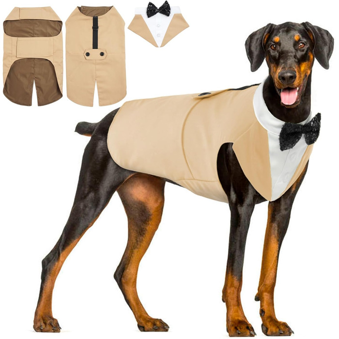 Костюм для собак, бандана, аксесуари для святкування: весілля, день народження, Хелловін (XXL, шампань)