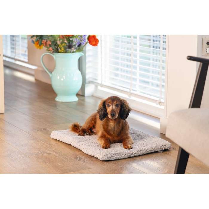 Крісло-гніздо для собак Beeztees Ito, ортопедичне, сірого кольору, 62x44x4 см