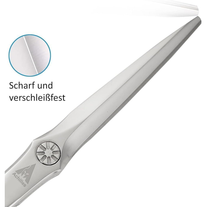 Набір професійних ножиць для волосся Titan 6 дюймів (1 шт.) - ножиці та ножиці для розрідження, сталь Японія