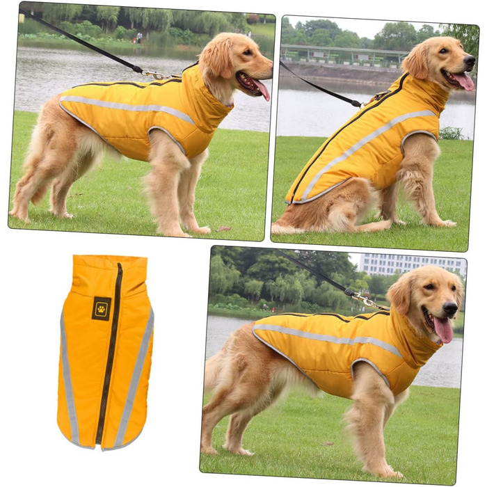 Теплий зимовий одяг для собак: куртка, плащ для прогулянок та відпочинку | iBasenice