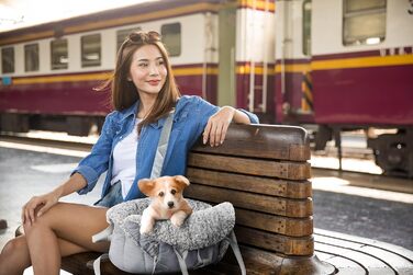 Сумка-переноска для собак, транспортувальна сумка, переноска для тварин, регульована висота, аксесуари для собак, переноска для подорожей, 38x24x28 см, розмір Asche 1: 38x24x28 см Asche