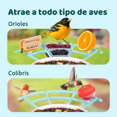 Розумна годівниця для птахів NETVUE Birdfy з камерою для спостереження, сонячною панеллю, кольровим нічним баченням та автоматичним записом відео, синя