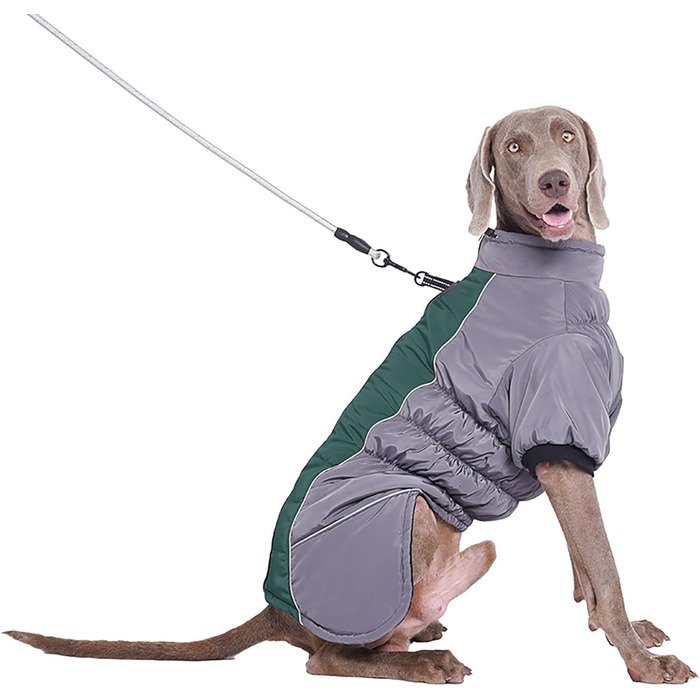 Теплі зимові куртки для собак з еко-хутром. Курти для собак великих, середніх та маленьких порід. Зібрані взимку, захист від снігу та холоду. (M, B)