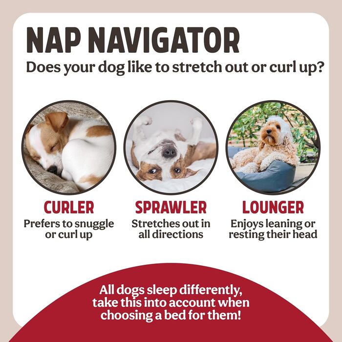 Ліжко для домашніх тварин Rosewood Eco Line з переробленого пластику, блакитне, маленьке (60 см), міцне, пральне ліжко для собак