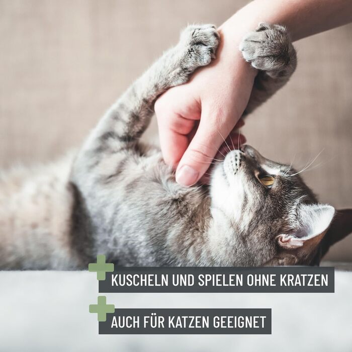 Ножиці ReaVET для обрізання кігтів собак та котів - з пилочкою та обмежувачем | Нержавіюча сталь | Інструмент для догляду за кігтями