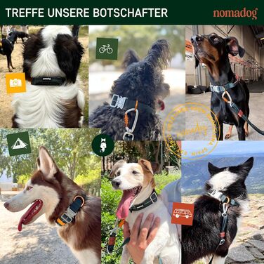 Нашийник для собак Nomadog Trailblazer з ручкою для великих собак - преміум алюмінієва застібка, міцний тактичний нашийник, регульований, з підкладкою, світловідбиваючий (L)