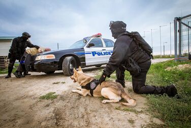 Шлея Julius-K9 IDC Stealth для собак, розмір 2XL/3, чорна