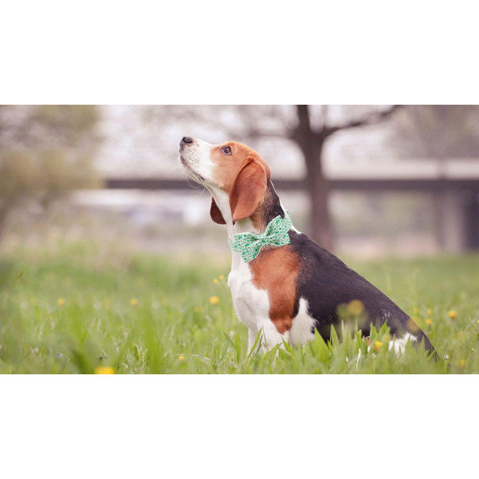 Унікальний нашийник для собак і котів з бантом Unique Style Paws, регульований, для малих, середніх і великих порід, обхват 25,4–40,6 см