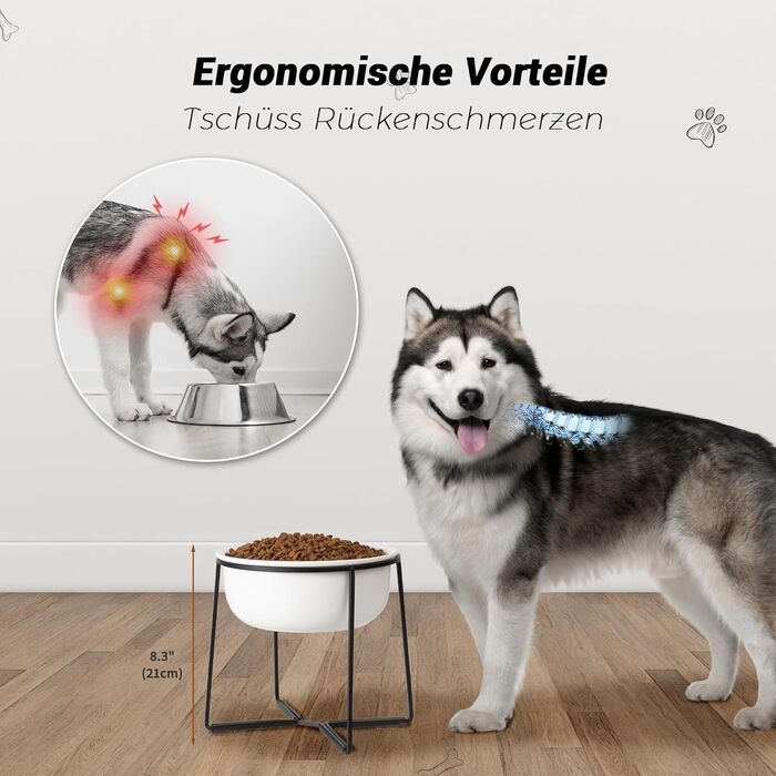 Підвищений керамічний миска для собак з металевим обідком - годівниця для котів та маленьких собак. Біла матова (XL)