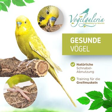 Набір коркового приладдя для птахів Vogelgaleria®: коркова сидушка, жердинка 20 см, 2 коркові камені для хвилястих папуг