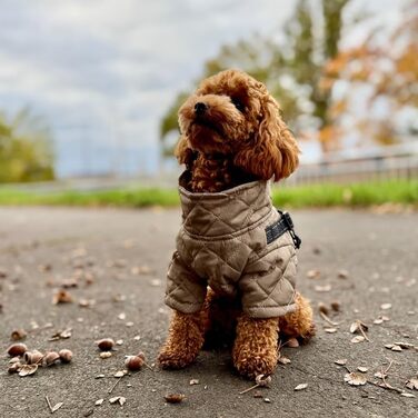 Теплий водонепроникний зимовий пуховик для собак Lalzoo LUVI 2-в-1 з інтегрованим нашийником – для маленьких та середніх собак, світлодіодна куртка, бежевий, розмір S