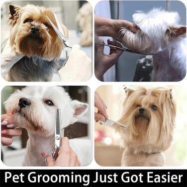 Набір професійних ножиць для грумінгу собак та котів 7.0 дюймів (5-в-1), нержавіюча сталь 440C, з витончувальним ножем, вигнутими та прямими ножицями, гребінцем для шерсті