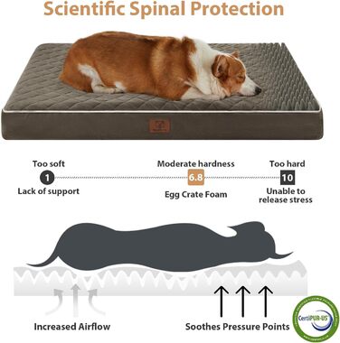 Ортопедичне ліжко для собак великих порід WNPETHOME, велике водонепроникне ліжко з знімним, пральним чохлом та неслизьким дном, м'яка підстилка з піни, темно-зелене, 61.0' x 43.0' x 4.0'