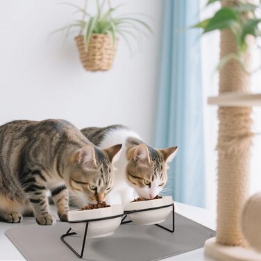 Набір мисок для котів Vikcvcs 2 шт. з кераміки, з металевим кріпленням та силіконовим підставкою, 15° нахил, ергономічна годівниця для котів та маленьких собак