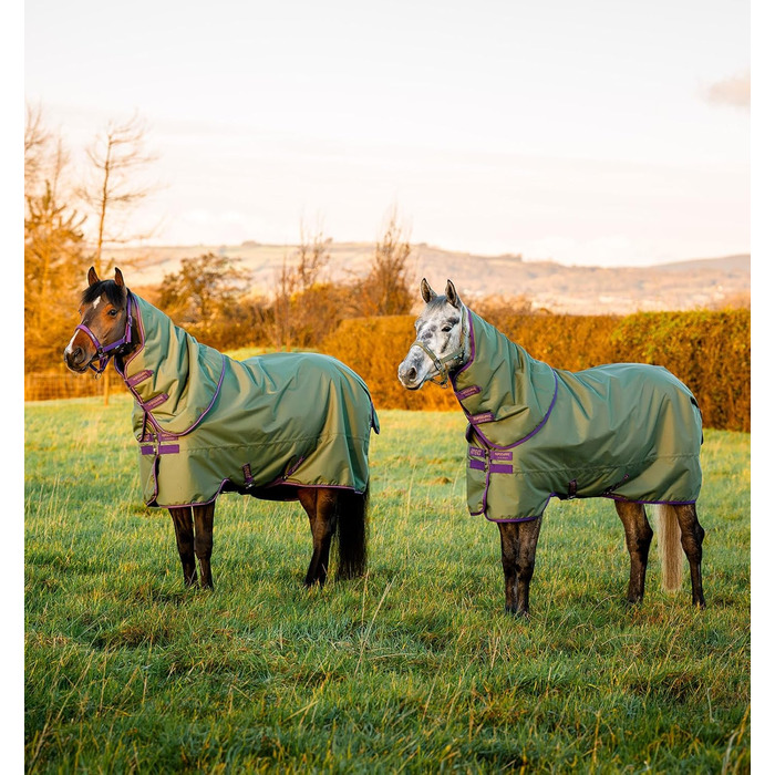 Кінська попона Horseware Amigo Hero Ripstop Plus, легка, 0 г, розмір 66, колір Bramble/Winterberry & Taupe