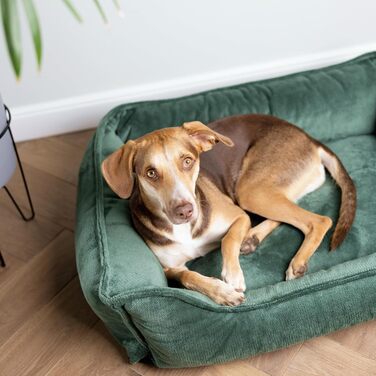 Ортопедичне ліжко для собак 4L Textil IRIS Premium-LINE, корзина для собак, м'яке ліжко з піною Memory Foam (80x60 см, L 60 x B 40 x H 15 см, зелений, знімний чохол)