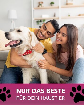 PETGARD Станція годування для собак з нержавіючої сталі - набір мисок - годівниця для собак Преміум класу - 61 x 35 x 28 см - об'єм 2 x 1500 мл