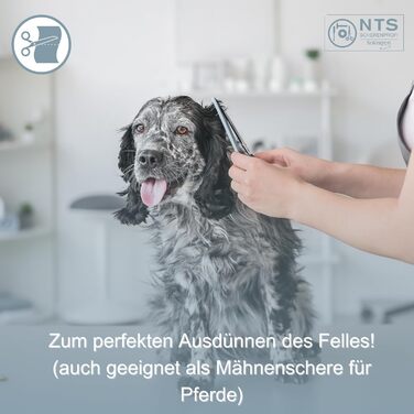 Ножиці для собак та домашніх тварин ROSTFREI, матові сатинові • Ножиці для моделювання шерсті (зубці з обох сторін) та фінішні ножиці, 1 шт.