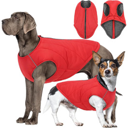 колір: гниль