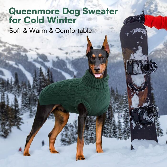 Светр для собак Queenore: в'язаний водолазка для джек-расселів, коргі, бульдогів (XS, зелений)