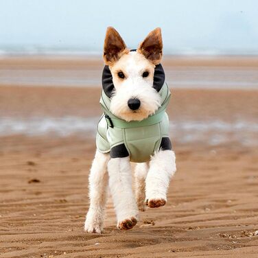Зимовий одяг для маленьких собак: теплий пуловер з флісу, жилет для активного відпочинку, куртка з регульованою шлейкою, безрукавна куртка для цуценят Green L
